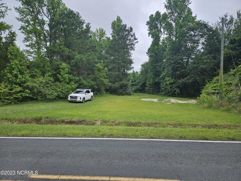 3 Piney Woods Road, Willard, NC 28478 photo 2