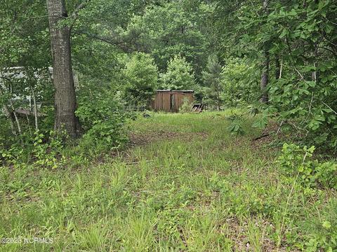 3 Piney Woods Road, Willard, NC 28478 photo 10
