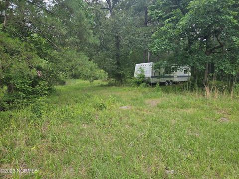 3 Piney Woods Road, Willard, NC 28478 photo 8