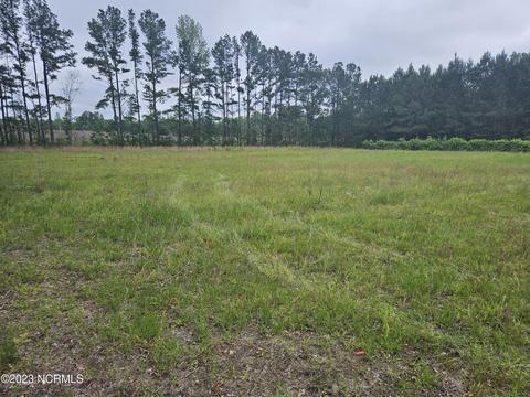 3 Piney Woods Road, Willard, NC 28478 photo 5