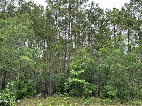 B Cumbee Road Sw, Supply, NC 28462
