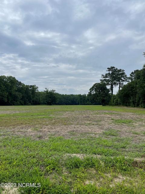 100 Beattys Bridge Rd, Atkinson, NC 28421