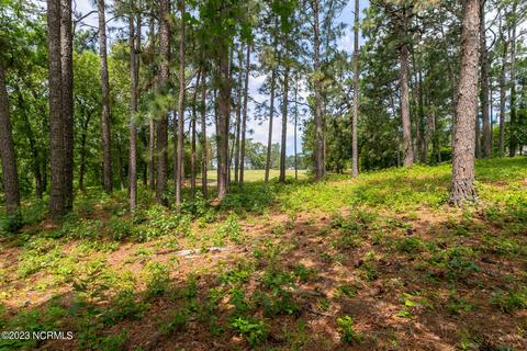 tbd Westlakeinverrary Rd, Pinehurst, NC 28374 photo 5