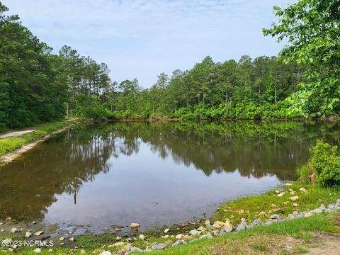 127 Timber Skip Dr, Spring Lake, NC 28390 photo 49