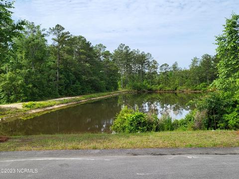 127 Timber Skip Dr, Spring Lake, NC 28390 photo 48