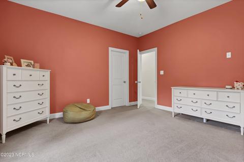 252 Aster Pl, Hampstead, NC 28443 photo 29