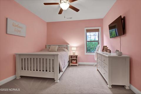 252 Aster Pl, Hampstead, NC 28443 photo 30
