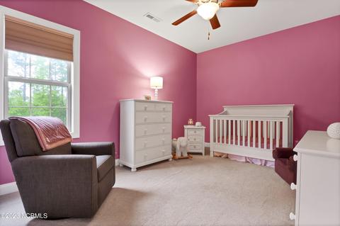 252 Aster Pl, Hampstead, NC 28443 photo 33