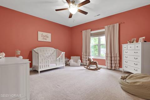 252 Aster Pl, Hampstead, NC 28443 photo 28