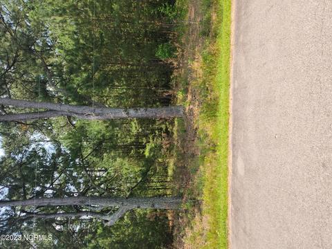 lot7 Maggett Ln, Rich Square, NC 27869