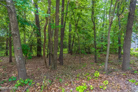 612 Morganton Rd, Pinehurst, NC 28374 photo 8