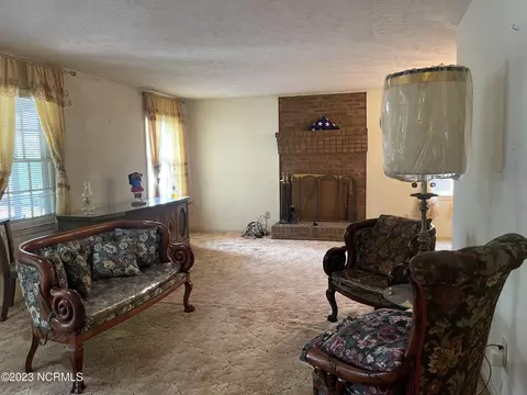 119 West Ave, Hamlet, NC 28345 photo 27
