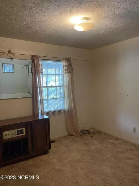 119 West Ave, Hamlet, NC 28345 photo 38