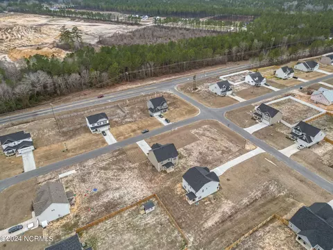 29 Wild Stream Ct, Erwin, NC 28339 photo 5