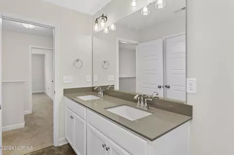 29 Wild Stream Ct, Erwin, NC 28339 photo 36