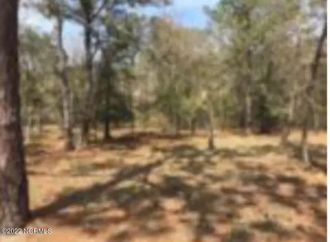 537 Glenmora Ave SW, Supply, NC 28462