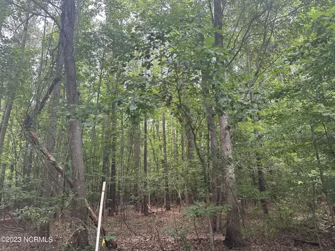 0 Brooks Ln, Blounts Creek, NC 27814