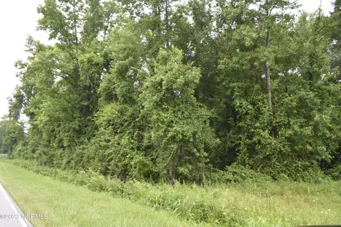 1724 South Corn Mill Road, Beulaville, NC 28518