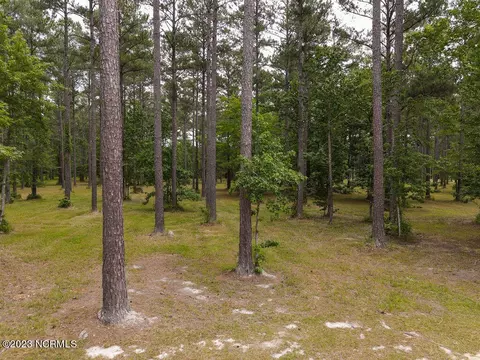 290 Cassie May Blvd, Oriental, NC 28571