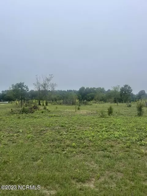 tbd Rummage Pack House Rd, Ellerbe, NC 28338