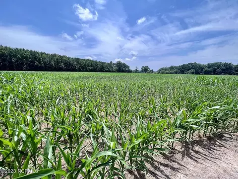 0 Highway 33, Chocowinity, NC 27817 photo 20