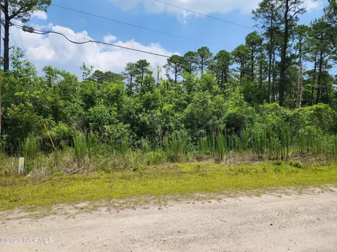 60 Blackhawk Road, Boiling Spring Lakes, NC 28461
