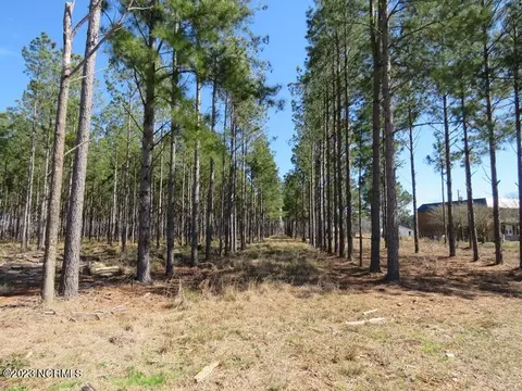 0 Atkinson Rd, Orrum, NC 28369 photo 7