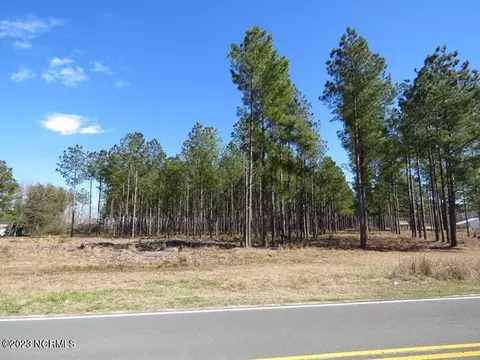 0 Atkinson Rd, Orrum, NC 28369 photo 5