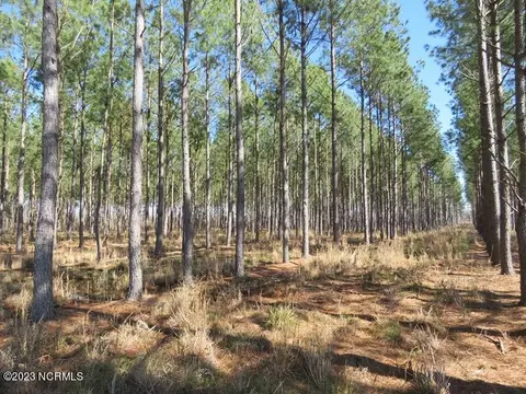 0 Atkinson Rd, Orrum, NC 28369 photo 4