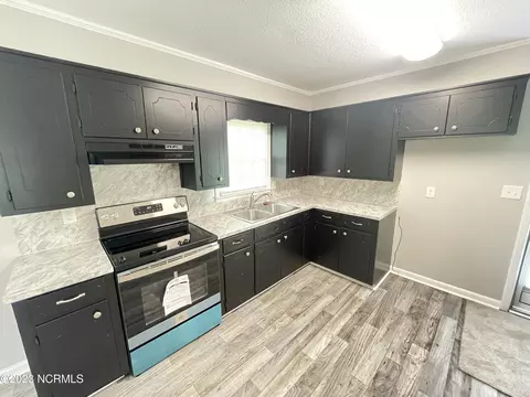 102 King Dr, Mount Olive, NC 28365 photo 2