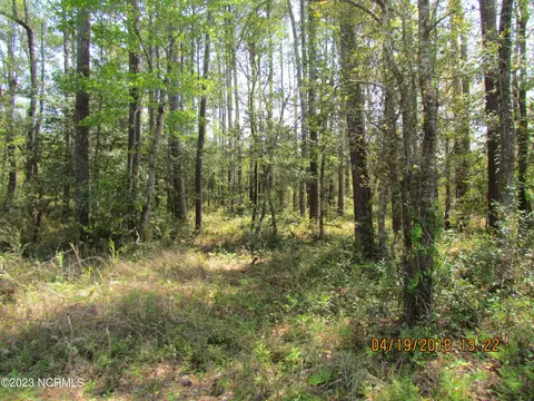774 Straits Rd, Gloucester, NC 28528 photo 2