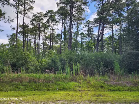 58 Blackhawk Road, Boiling Spring Lakes, NC 28461