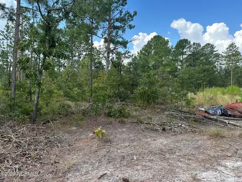 432 440 Brians Woods Rd, Maple Hill, NC 28454