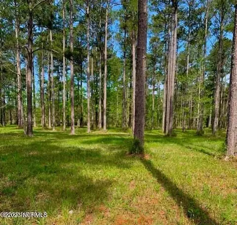 52 Corolla Loop Rd, Arapahoe, NC 28510 photo 3