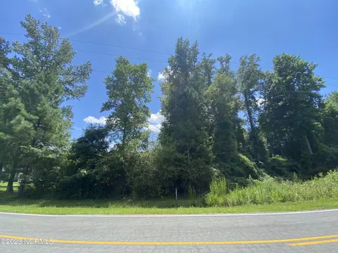 0- Tr 2 Fennell Town Rd, Burgaw, NC 28425