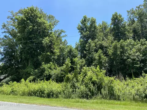 0- Tr 1 Fennell Town Rd, Burgaw, NC 28425