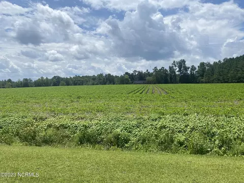 2451 Peanut Worley Road, Cerro Gordo, NC 28430