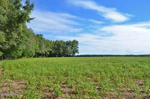 001 Old Mill Rd, Stantonsburg, NC 27883