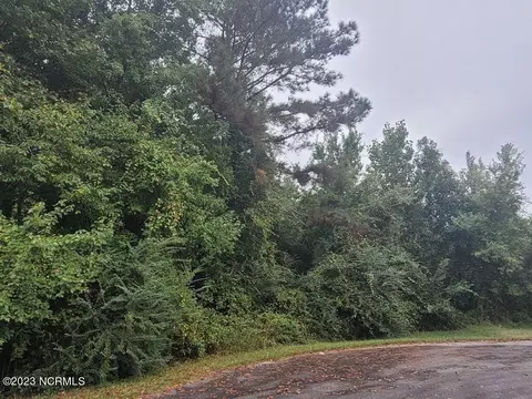 5019 Gladys Owens St, La Grange, NC 28551