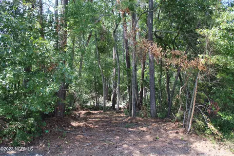 lot1 Octavia Dr, Dortches, NC 27804