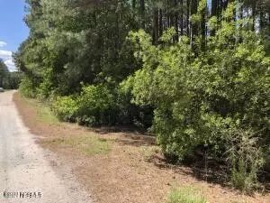 87 Waterway Dr E, Belhaven, NC 27810