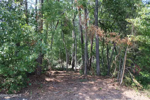 lot2 Octavia Dr, Dortches, NC 27804