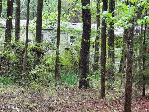 378 Harley Dr, Willard, NC 28478