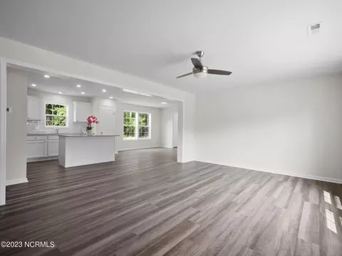 243 Harley Dr, Willard, NC 28478 photo 4