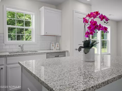 243 Harley Dr, Willard, NC 28478 photo 10