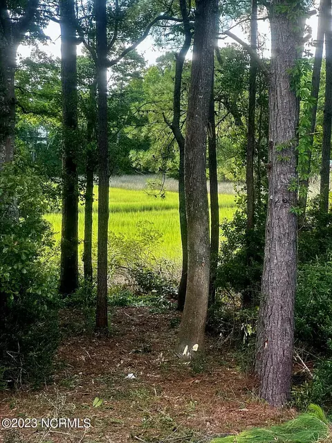 704 Cordgrass Rd, Hampstead, NC 28443 photo 6