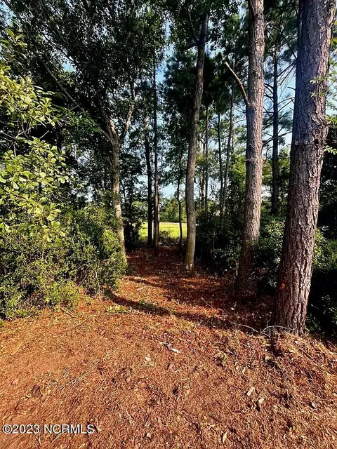 704 Cordgrass Rd, Hampstead, NC 28443 photo 8