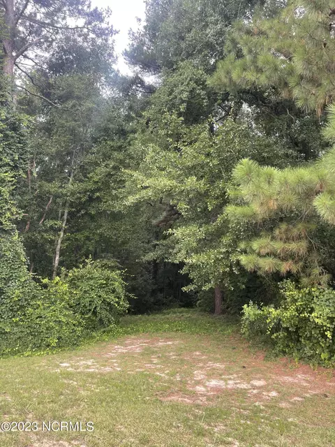 tbd Rice St, Hamlet, NC 28345 photo 6