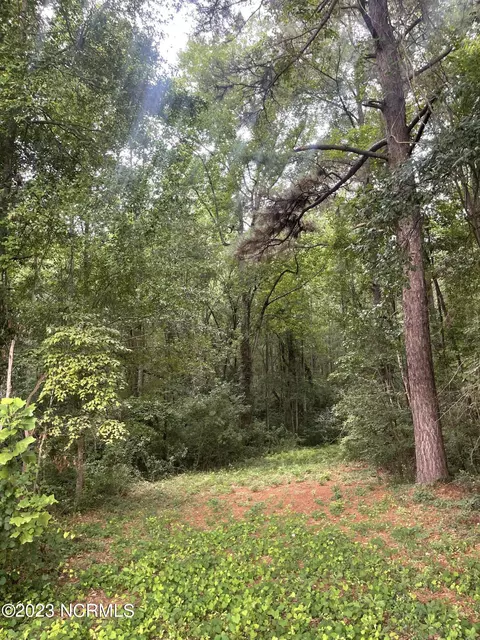 tbd Rice St, Hamlet, NC 28345 photo 5