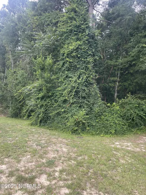 tbd Rice St, Hamlet, NC 28345 photo 7